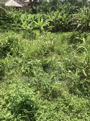 3 Plots of Land for Sale