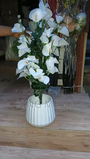 Lily Plant and Pot Available as Seen