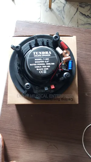 Original Tundra Black Passive Ceiling Speaker for Pop