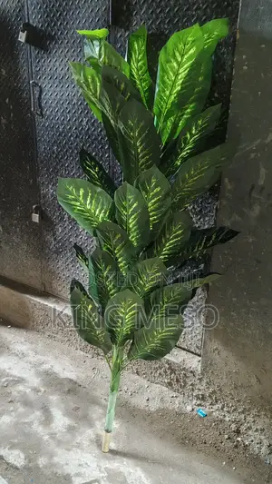 Palm Leaf Plant Size 1.7meter