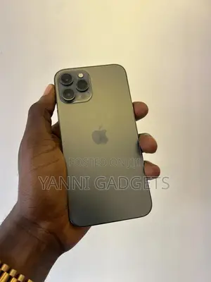 Apple iPhone 12 Pro Max 128 GB Gray