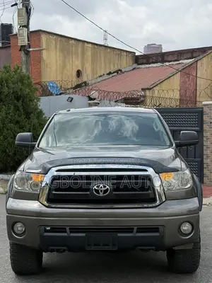 Toyota Tundra Double Cab 4x4 Limited 2010 Gray