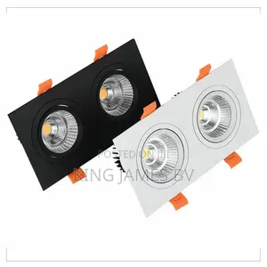 Double Recess Light