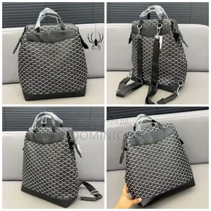 Goyard Steamer Backpack Available in Stores