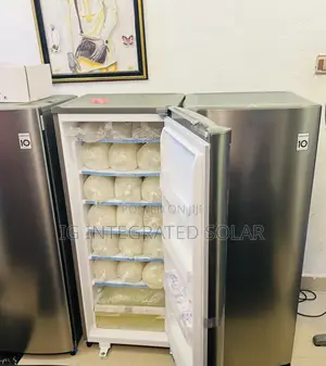 256l Ice Block Lg Freezer
