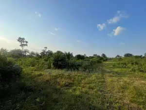 2 Plots(100x100 Square) of Land at Umuwei, Igwuruta, Rivers State