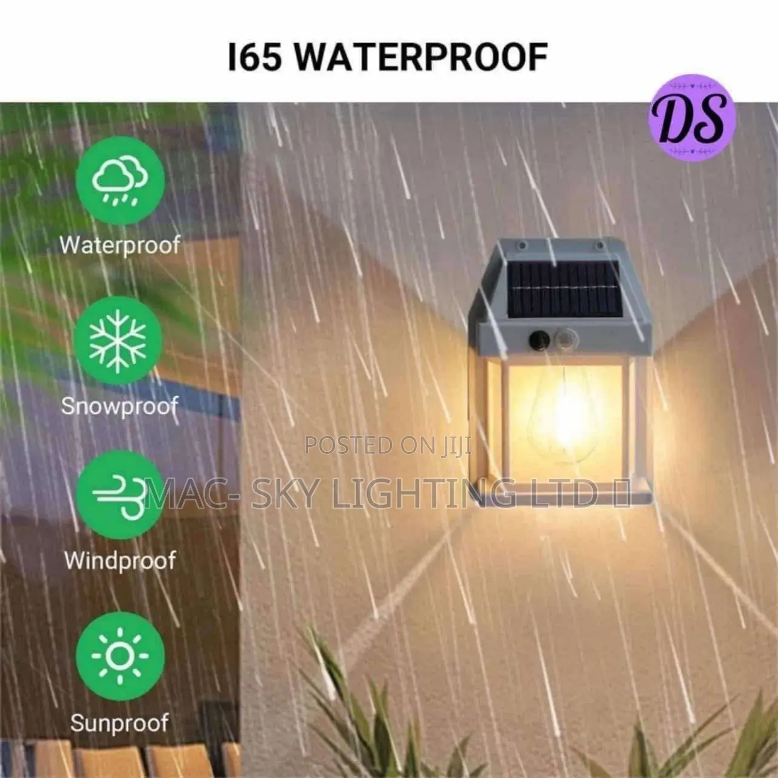 Solar Wall Light 