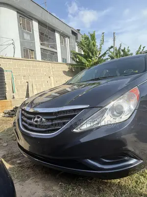 Hyundai Sonata 2011 Blue