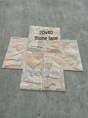 Stone Outdoor Wall Tile