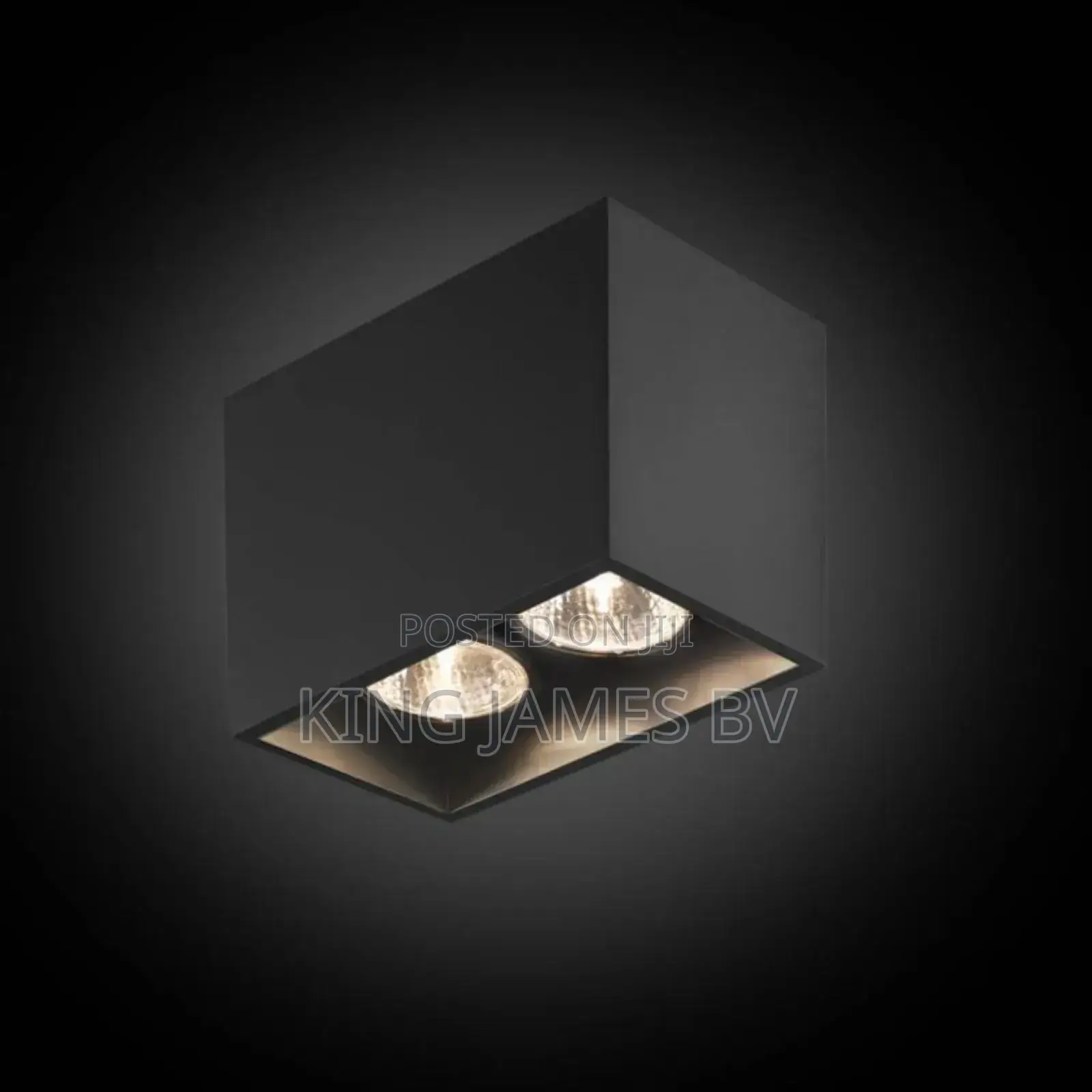 Double Luxurious Surface Light