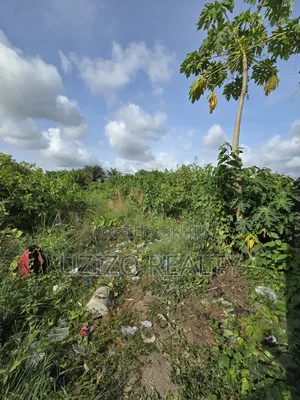 Corner Piece Dryland in Abijo Gra