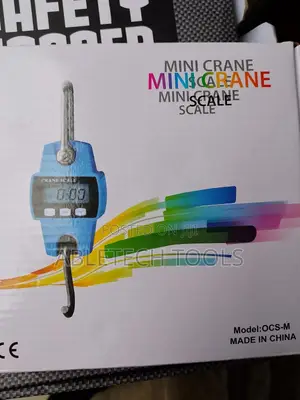 Mini Crane Scale 300kg