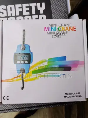 Mini Crane Scale 300kg