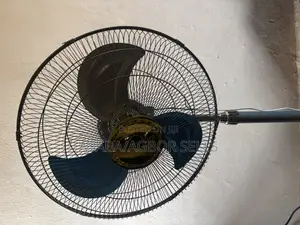 Standing Fan