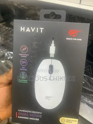 Havit Wireless Gaming Mouse