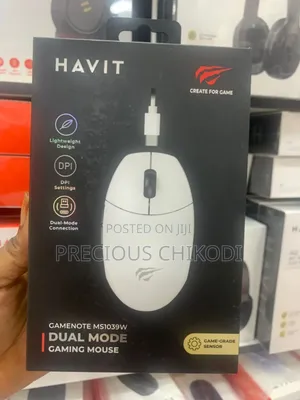 Havit Wireless Gaming Mouse