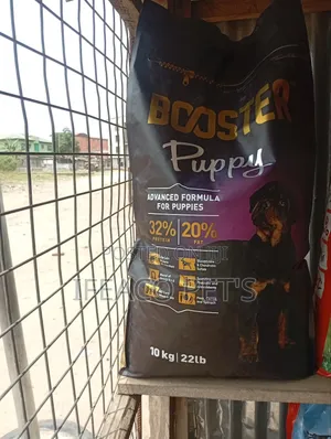 Booster Puppy