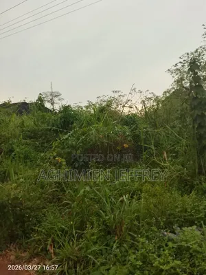 Land for Sale Ahor Community Auchi Road by Eyean Bypass