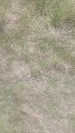 Distreess Sale Half Plot Built Up Estate Badore Lekki