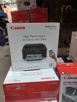 Canon 704 Printer