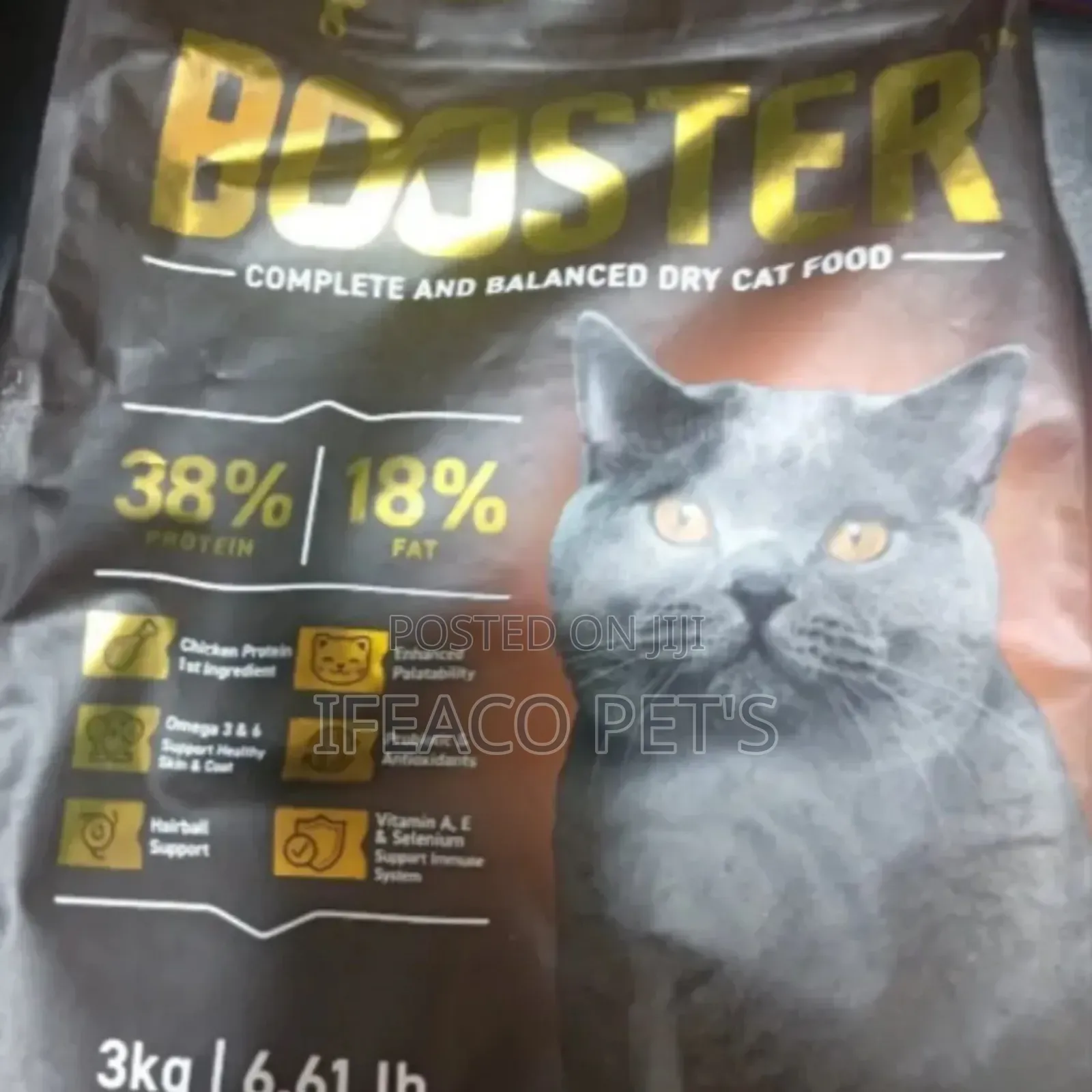 Booster Cat