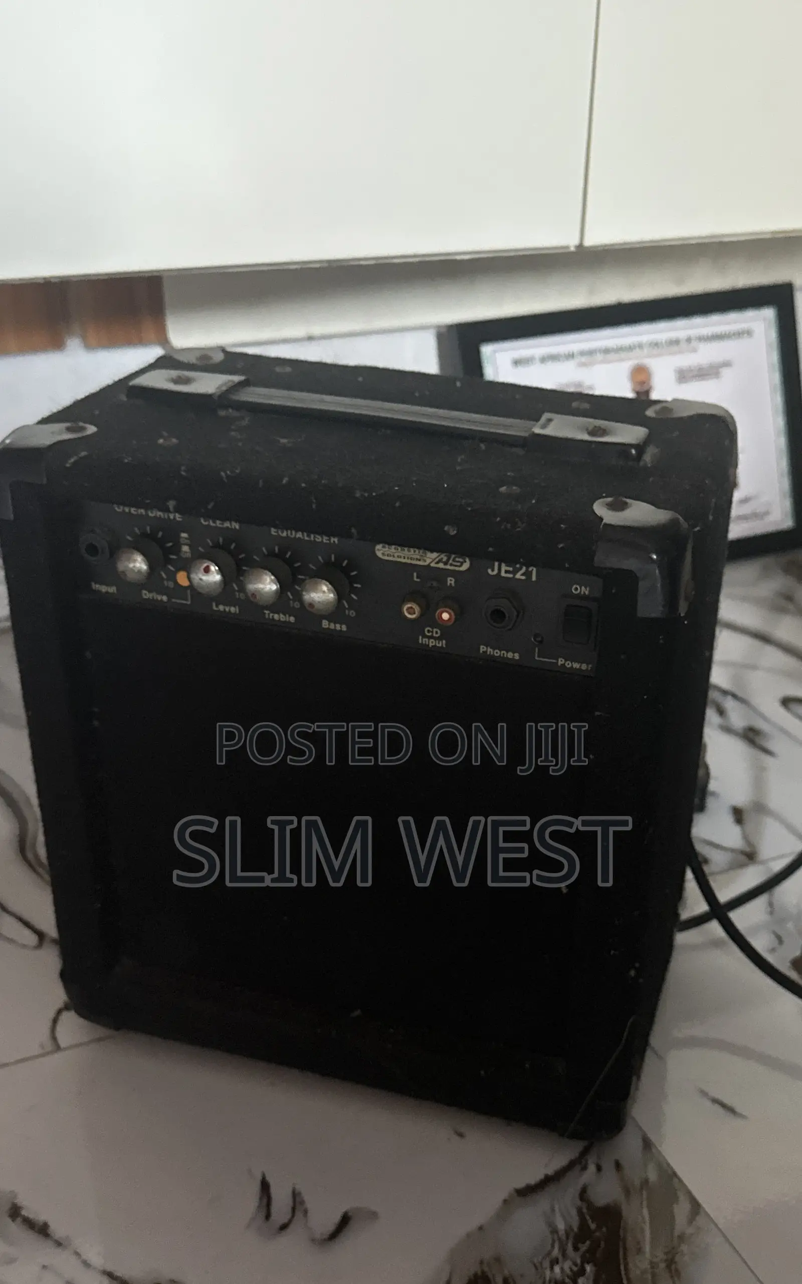 Guitar and Amplifier Speaker