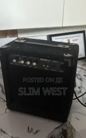 Guitar and Amplifier Speaker