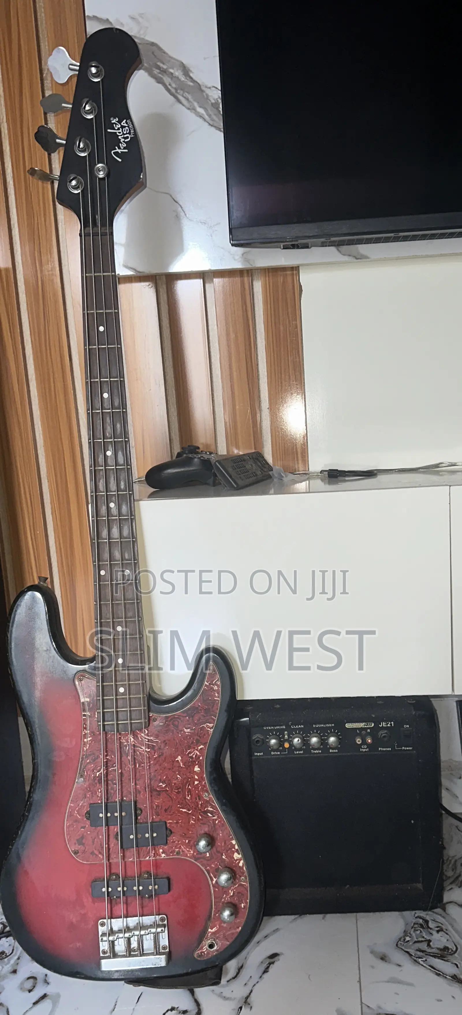Guitar and Amplifier Speaker