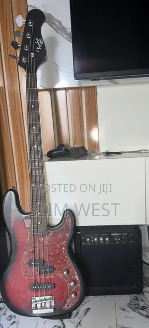 Guitar and Amplifier Speaker
