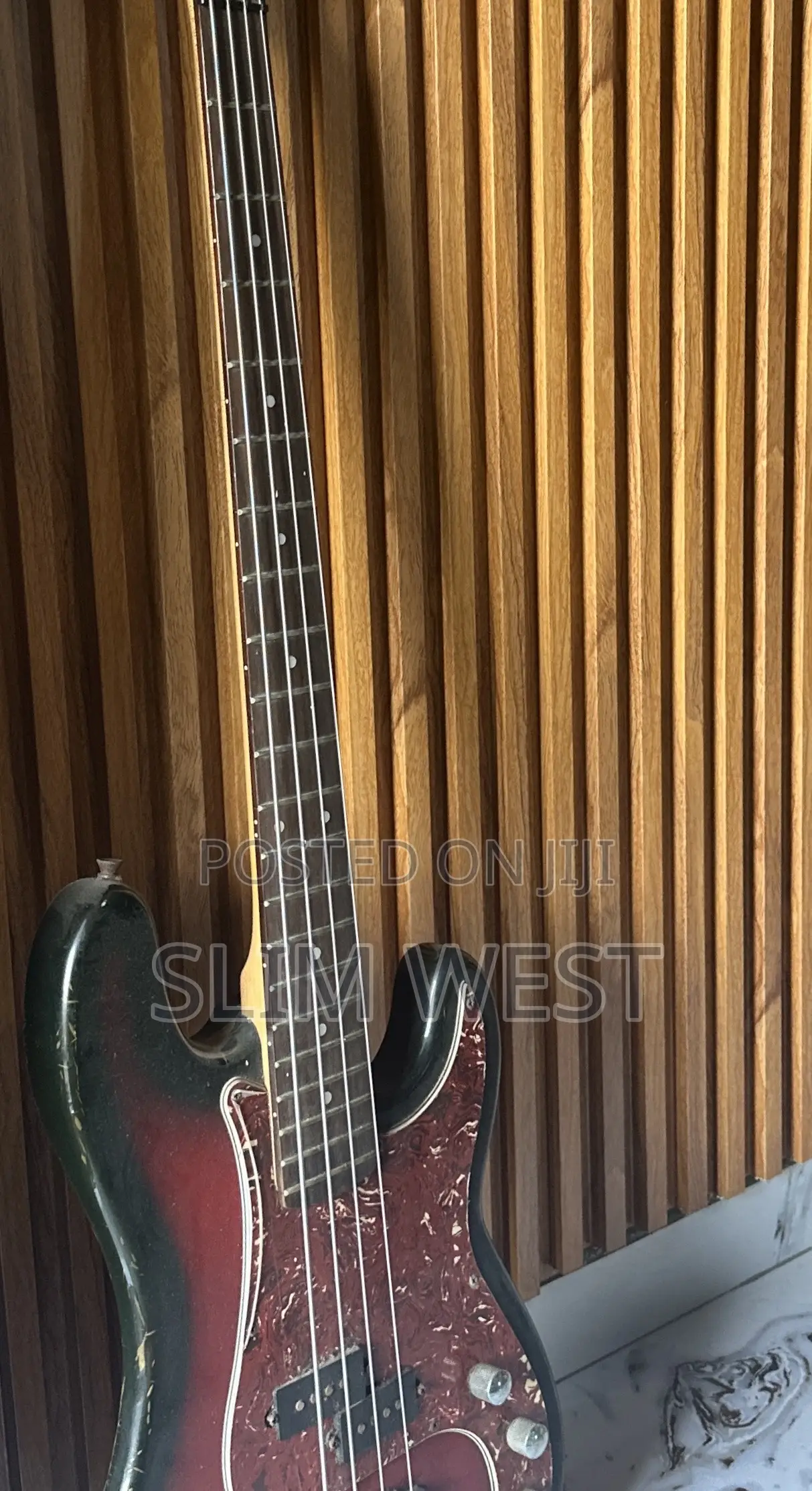 Guitar and Amplifier Speaker