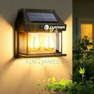 Double Solar Filament Wall Light