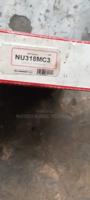 Skf Explorer Cylindrical Roller Bearing Nu318mc3.