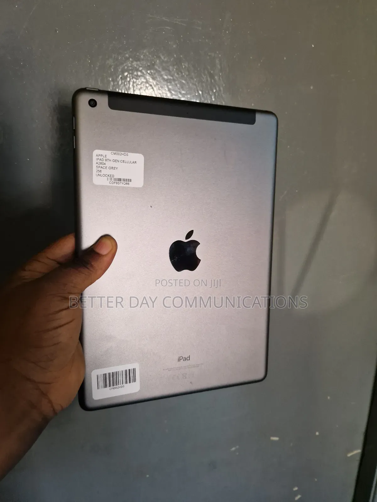Apple iPad 10.2 (2021) 256 GB Gray