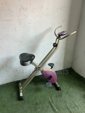 Xbike (Purple )