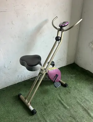 Xbike (Purple )