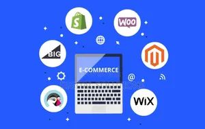 Ecommerce Website Design And Setup. Sell Your Products/Services Online