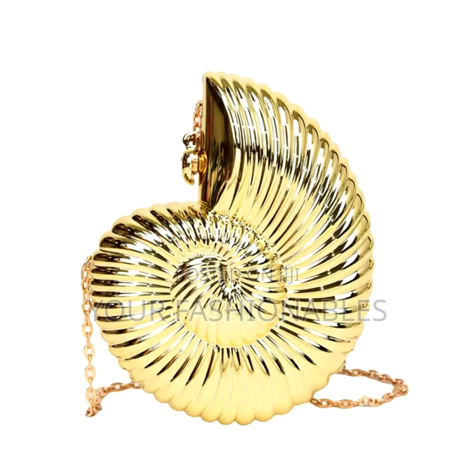 Acrylic Conch Clutch Purse