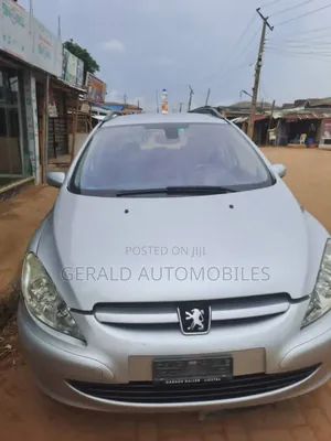 Peugeot 307 SW 1.6 2005 Silver