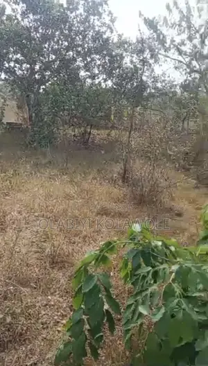 Affordable Plot of Land for Sale in Igbokiti Okinni, Osogbo