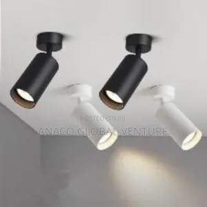Single Track Light