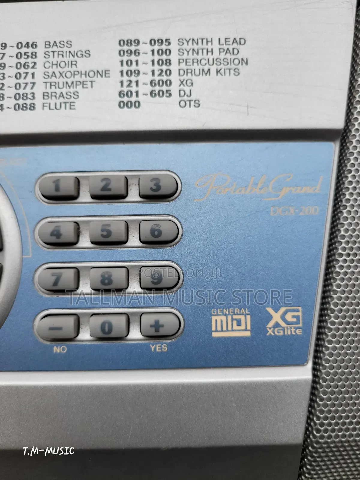 Yamaha DGX 200