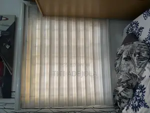 2 Window Blinds