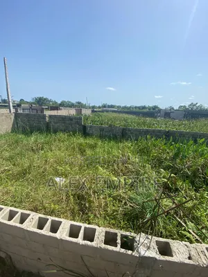 Half Plot of Land in Festac 6th Avenue, Amuwo Odofin
