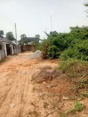 Land for Sale at Airport Road for 35m Naira Negotiable. Near the Road