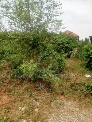 Land for Sale at Airport Road for 35m Naira Negotiable. Near the Road