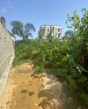 Land for Sale in Festac 6th Avenue Close to Harmony, Amuwo Odofin