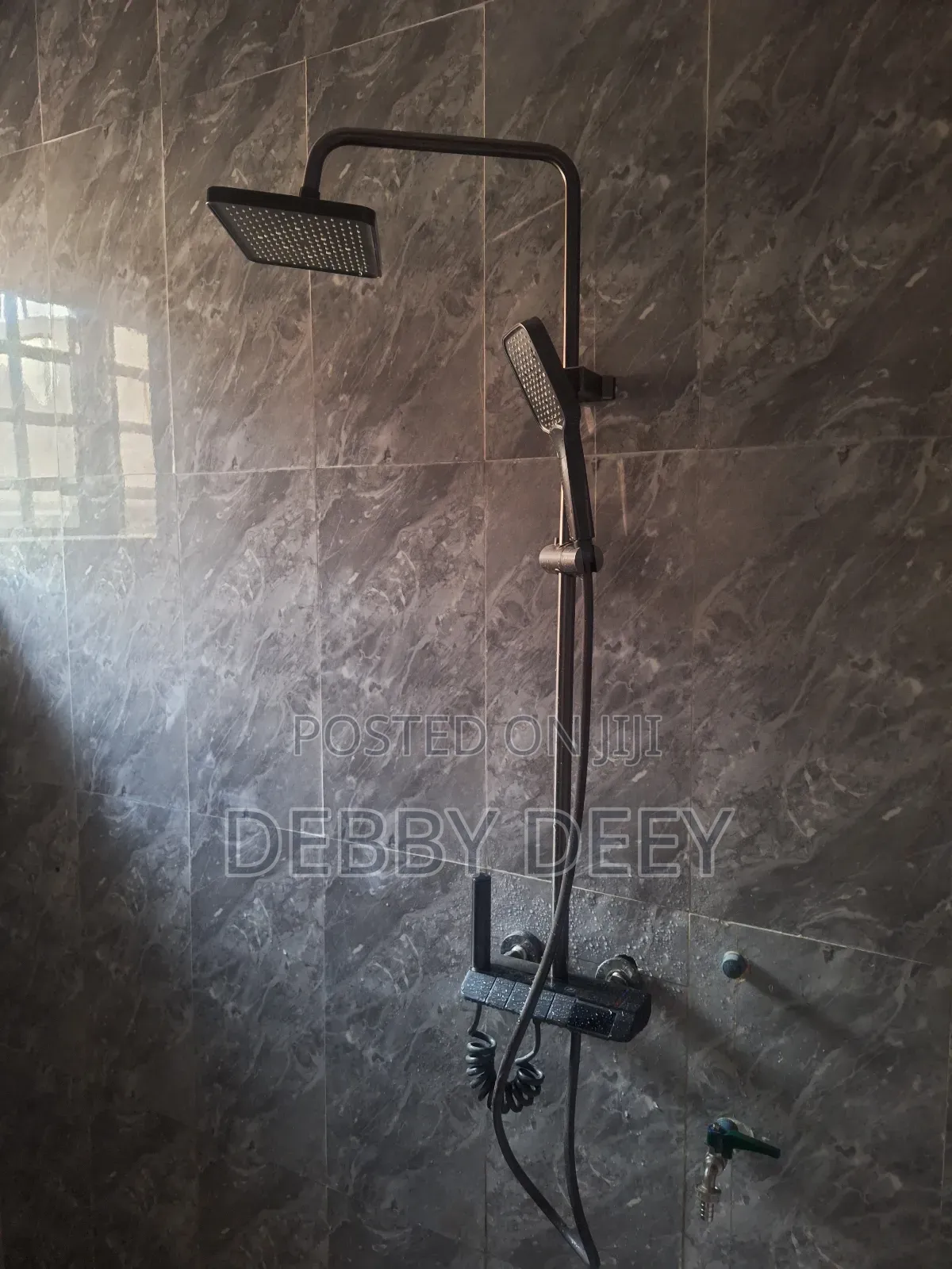 Fancy Shower Set