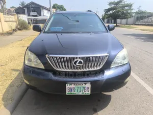 Lexus RX 330 2004 Gray