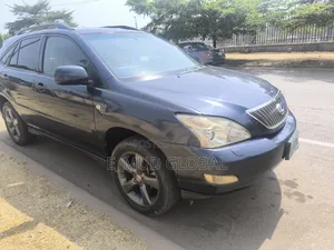 Lexus RX 330 2004 Gray