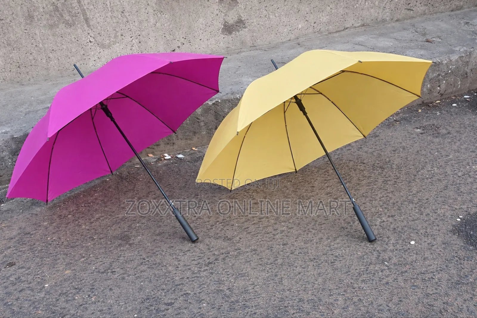 Medium Size Umbrella